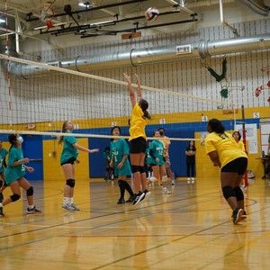 Meet your Posher, Hazel